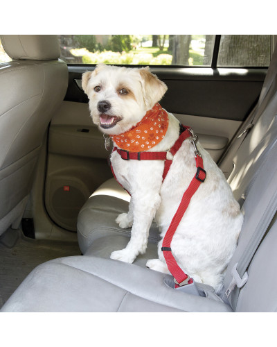 Clic N’ Go Universal Pet Seat Belt by Jack & Dixie